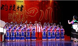 2015年“全国艺术大赛活动晚会成都集体照拍摄