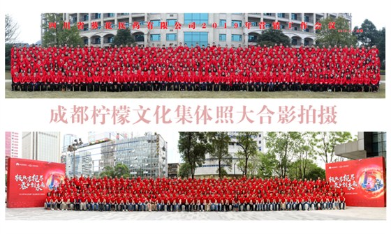 集体照大合影拍摄